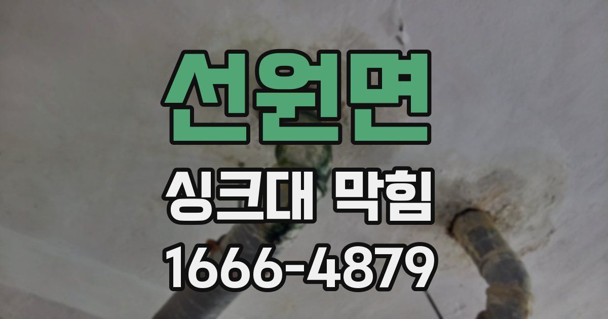 선원면 싱크대 막힘