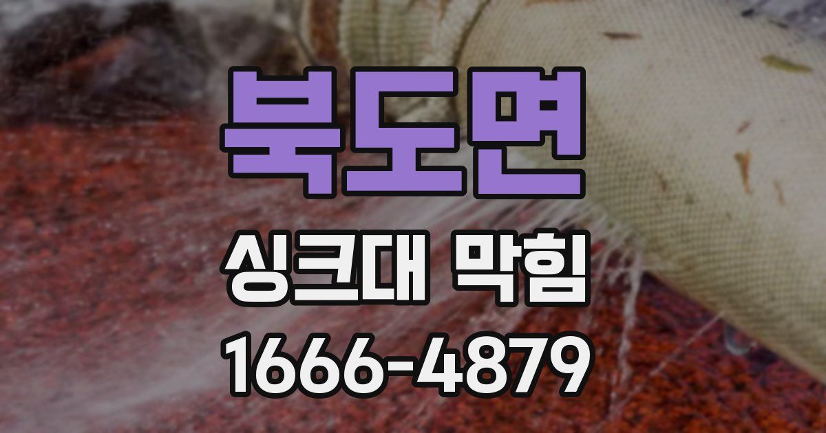 북도면 싱크대 막힘