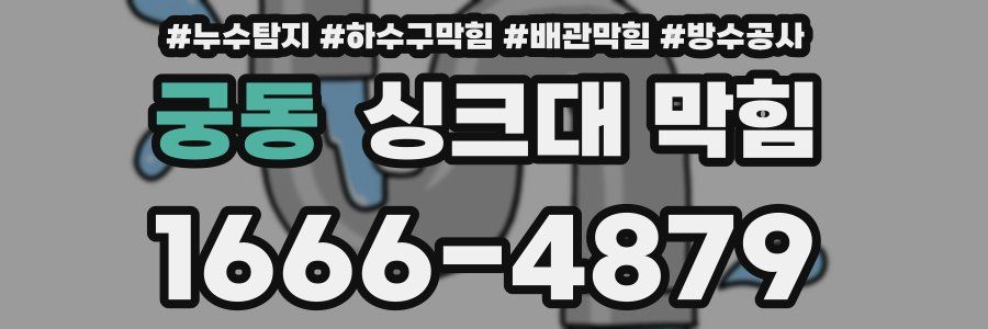 궁동 싱크대 막힘