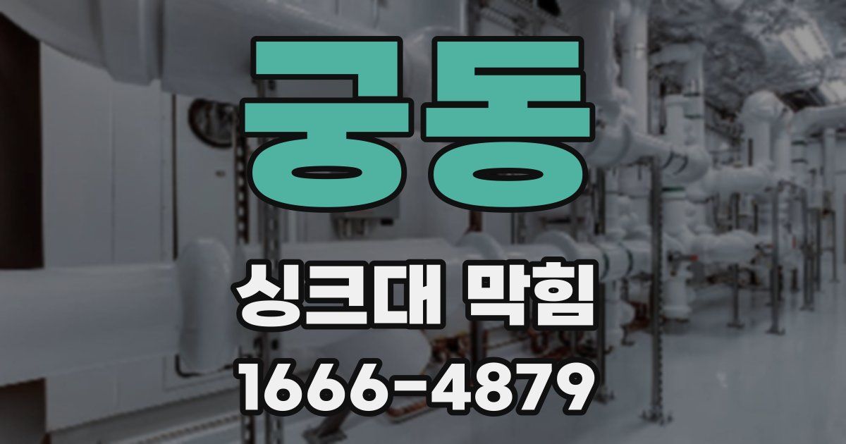 궁동 싱크대 막힘