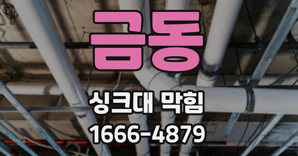 금동 싱크대 막힘