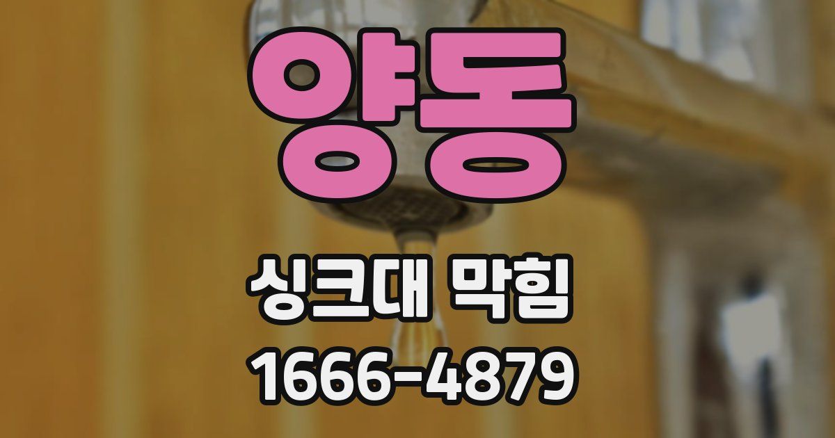 양동 싱크대 막힘