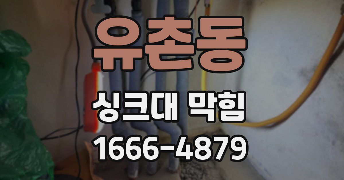 유촌동 싱크대 막힘