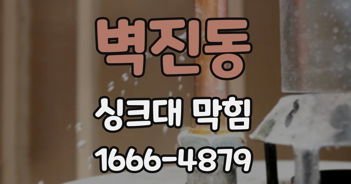 벽진동 싱크대 막힘