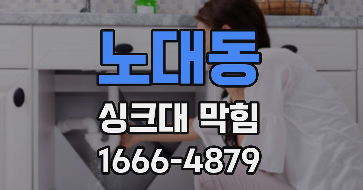 노대동 싱크대 막힘