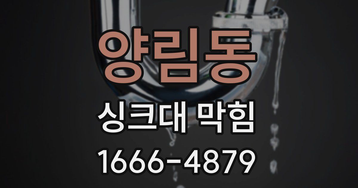 양림동 싱크대 막힘