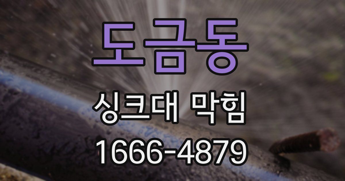 도금동 싱크대 막힘