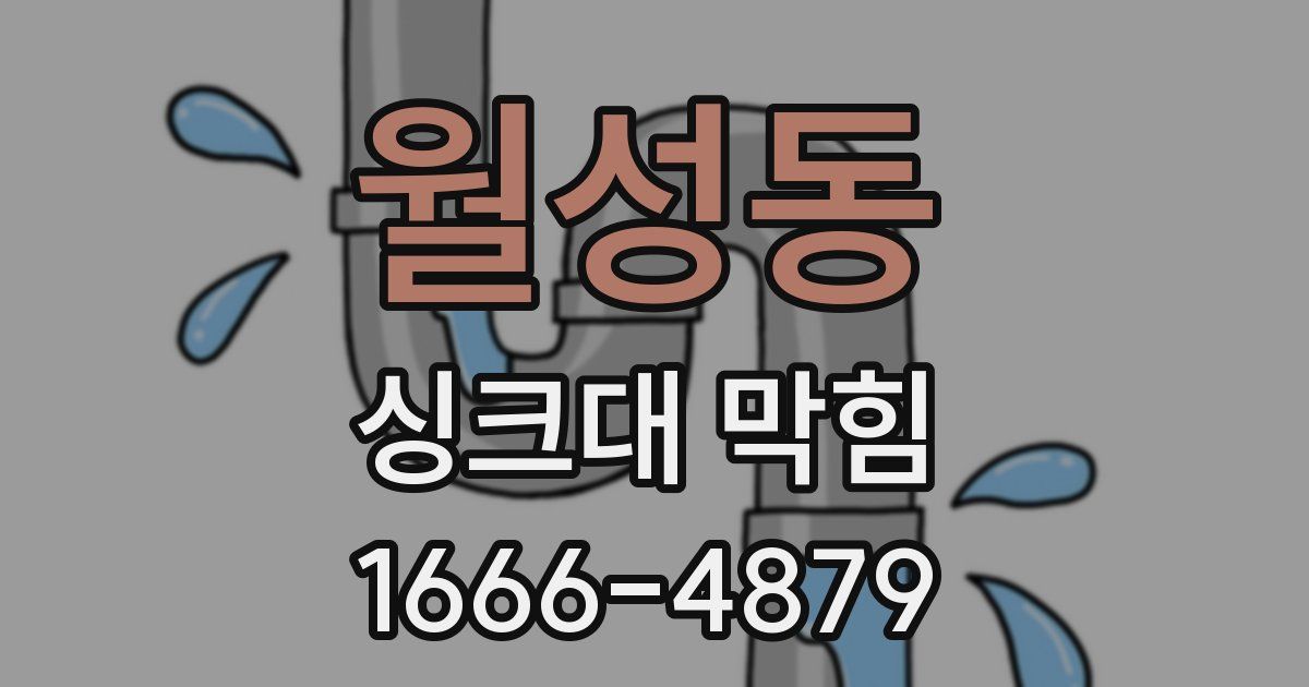 월성동 싱크대 막힘