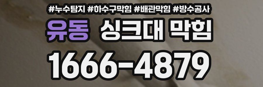 유동 싱크대 막힘