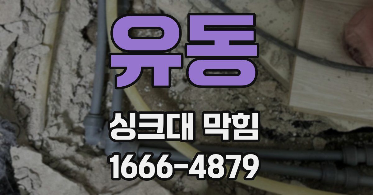 유동 싱크대 막힘