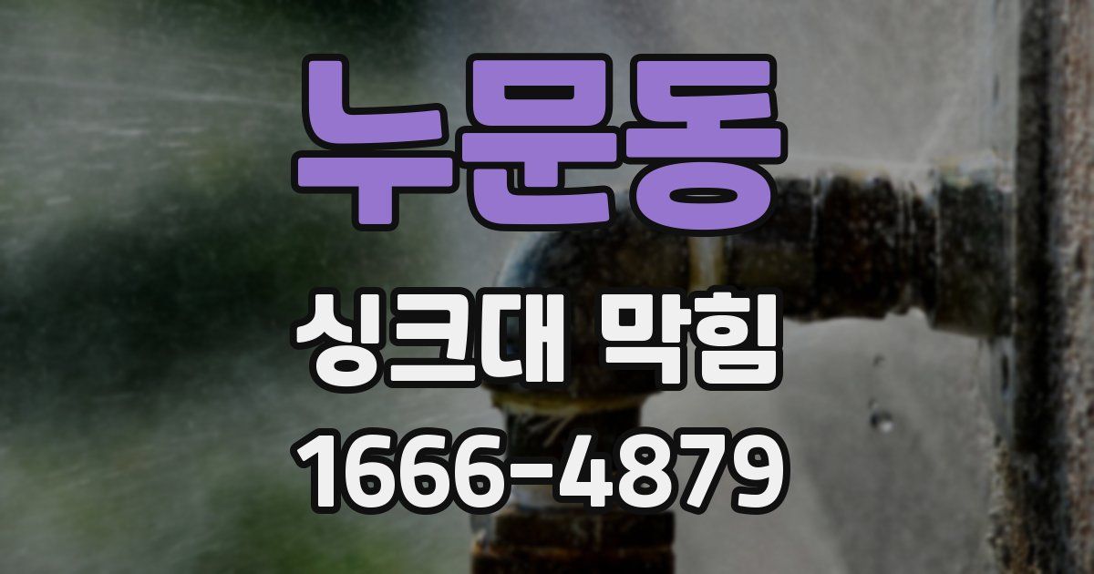 누문동 싱크대 막힘