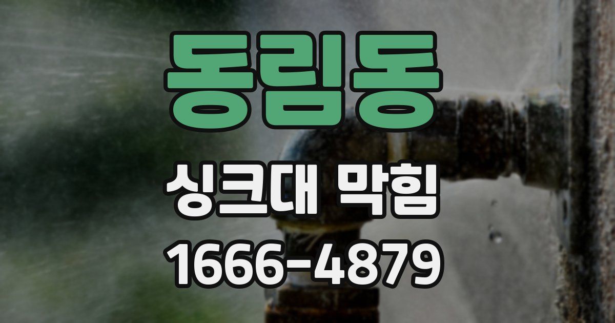 동림동 싱크대 막힘