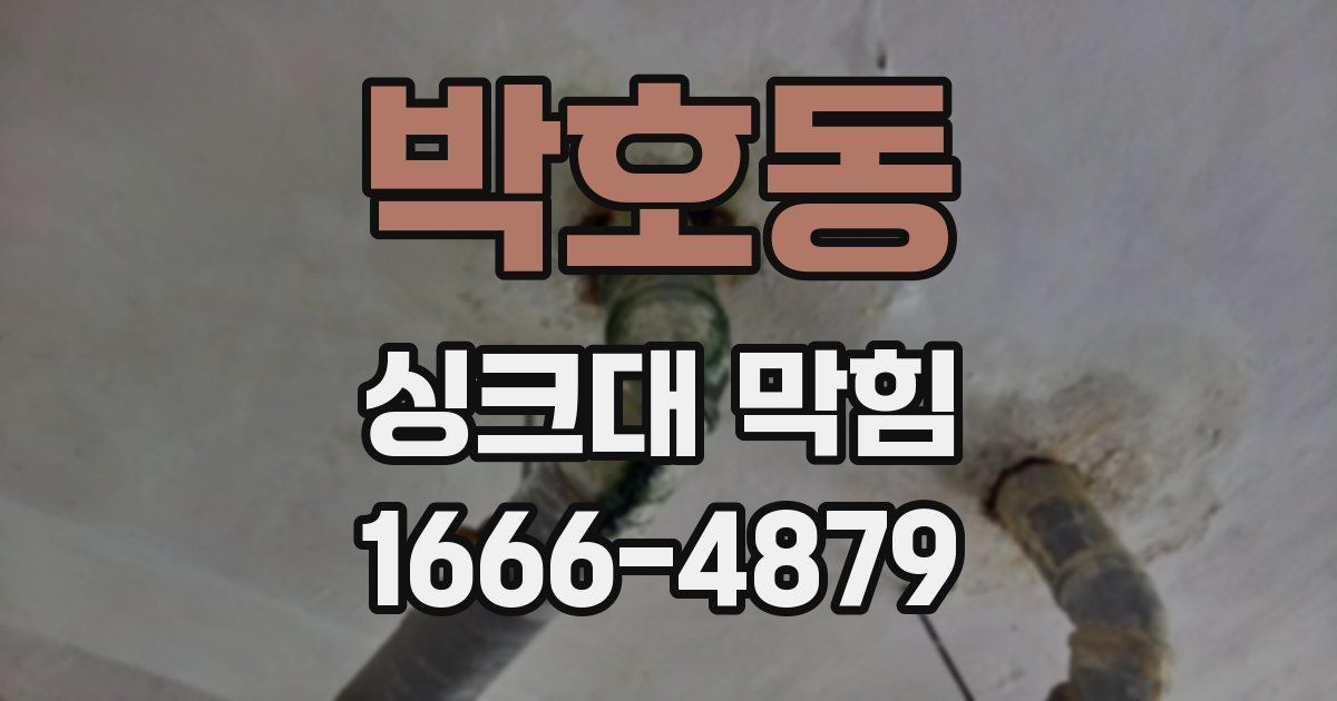 박호동 싱크대 막힘