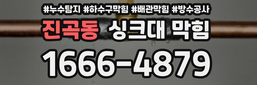 진곡동 싱크대 막힘