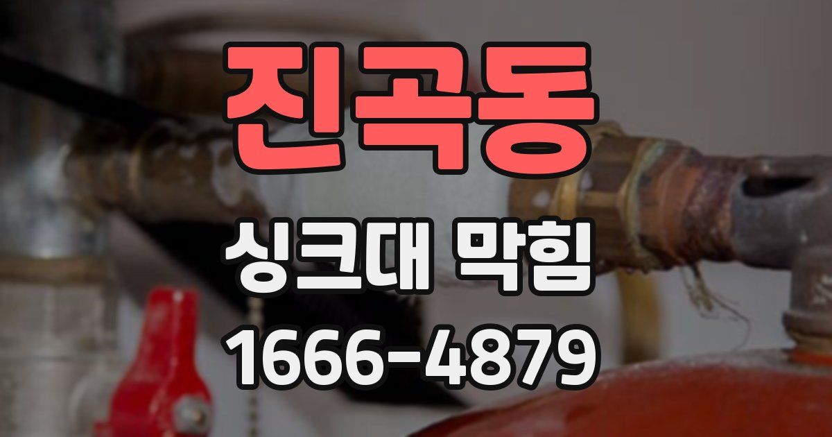 진곡동 싱크대 막힘