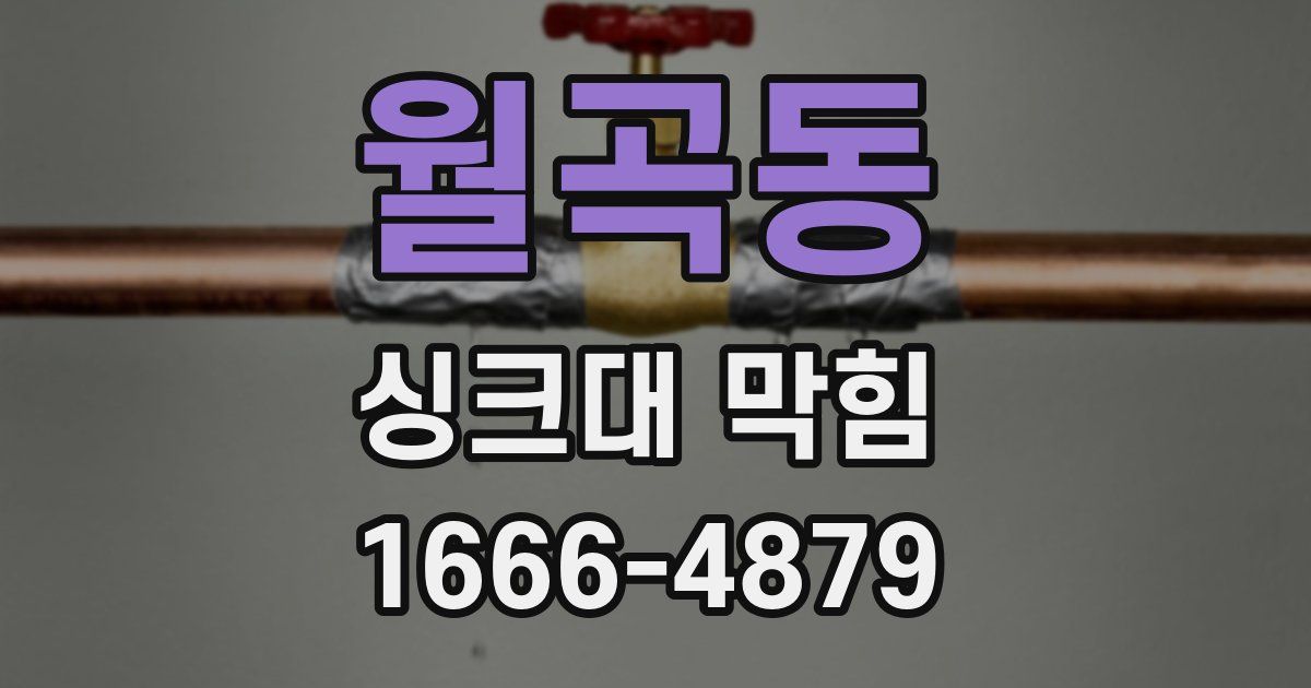 월곡동 싱크대 막힘