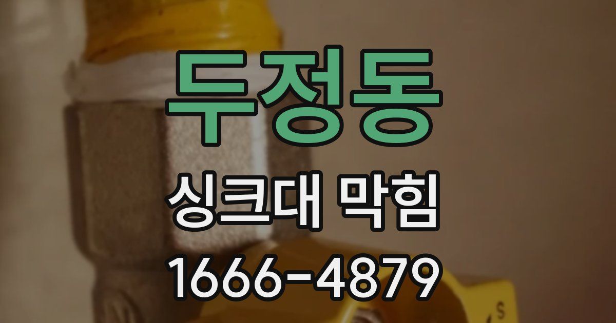 두정동 싱크대 막힘