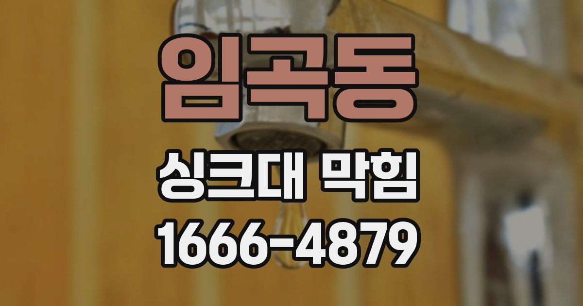 임곡동 싱크대 막힘
