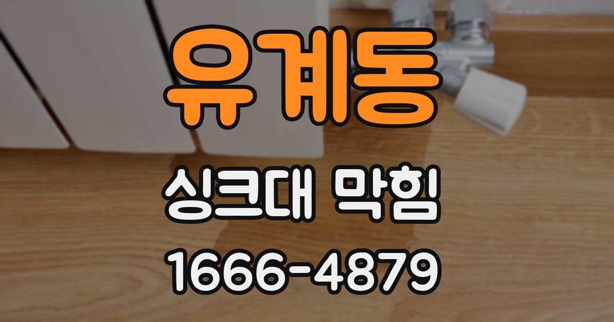 유계동 싱크대 막힘