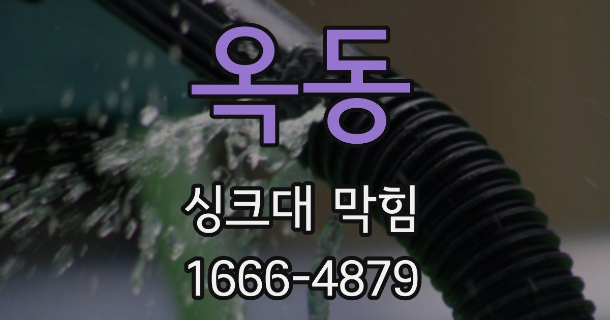 옥동 싱크대 막힘