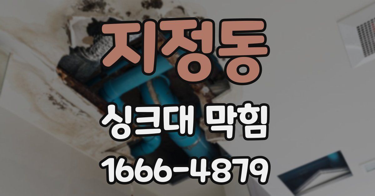 지정동 싱크대 막힘