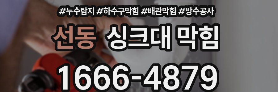 선동 싱크대 막힘
