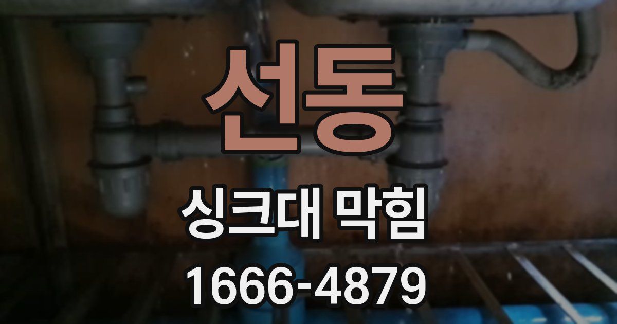 선동 싱크대 막힘