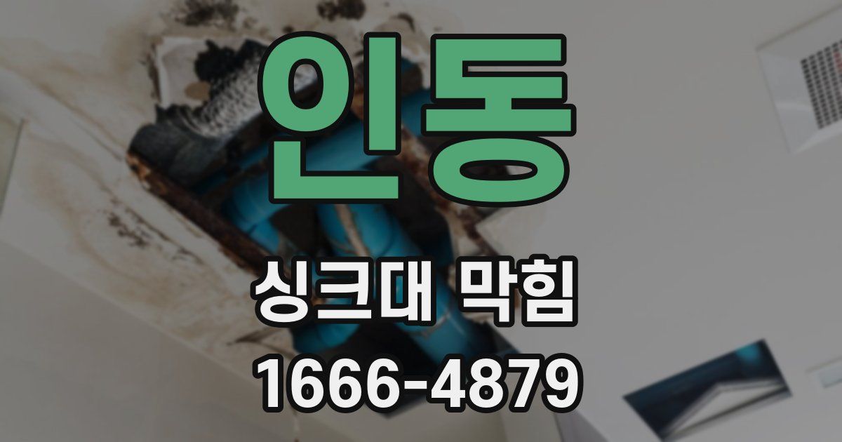 인동 싱크대 막힘