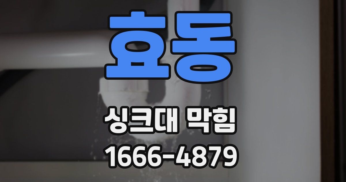 효동 싱크대 막힘