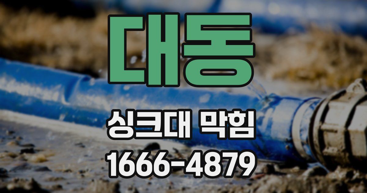대동 싱크대 막힘