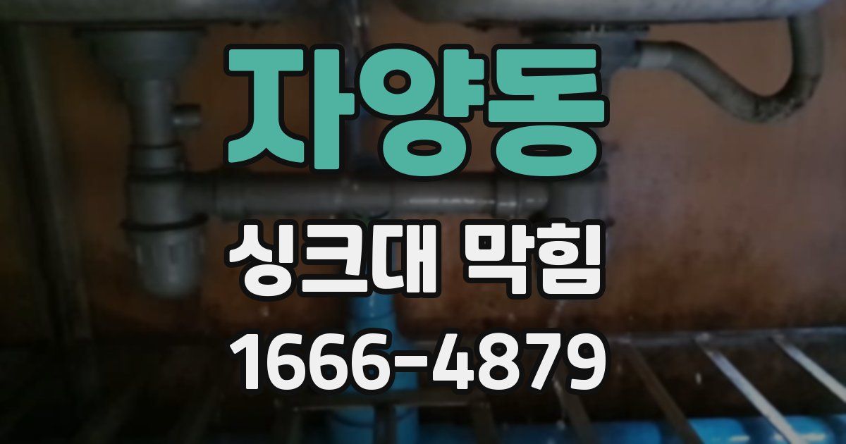 자양동 싱크대 막힘