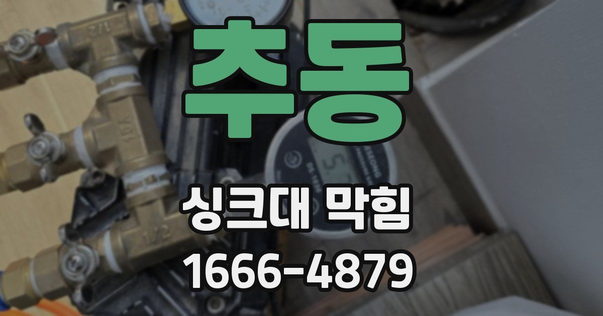 추동 싱크대 막힘