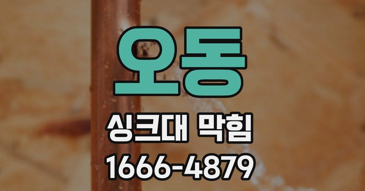 오동 싱크대 막힘