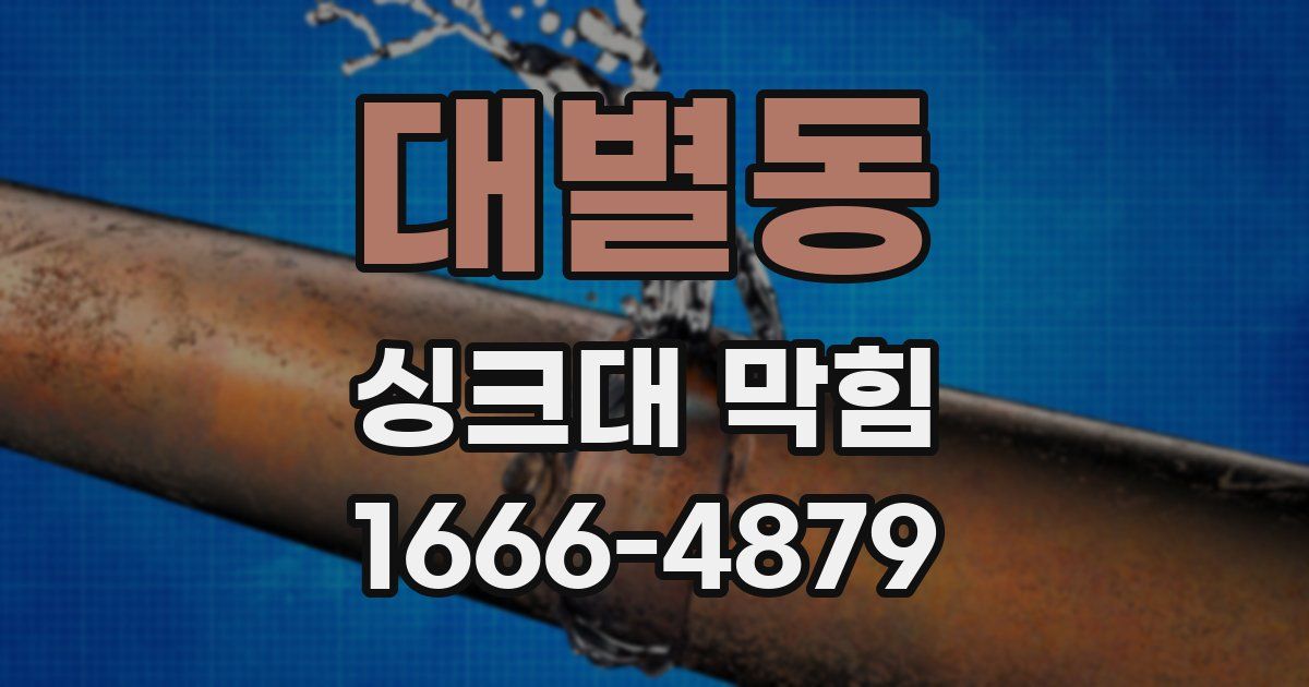 대별동 싱크대 막힘