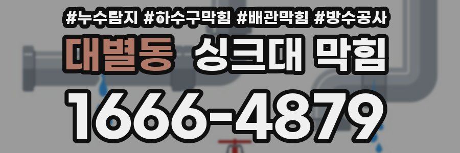 대별동 싱크대 막힘