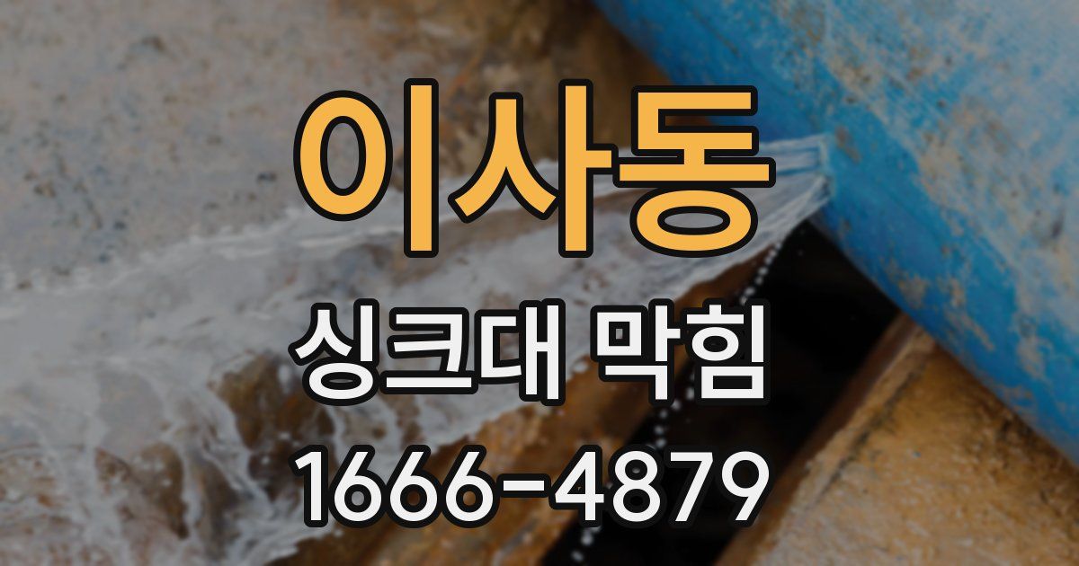 이사동 싱크대 막힘