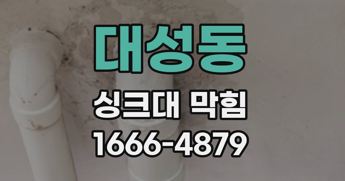 대성동 싱크대 막힘