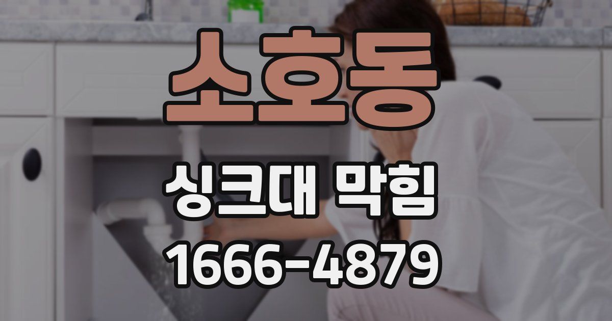 소호동 싱크대 막힘