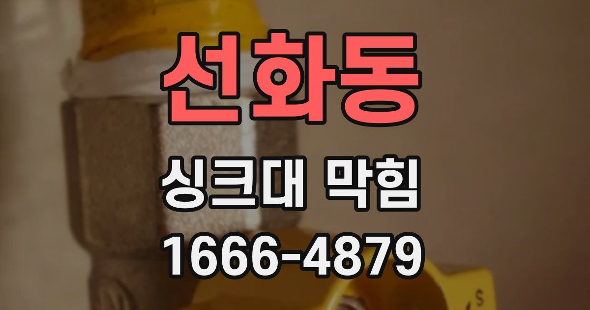선화동 싱크대 막힘