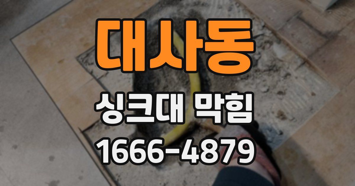 대사동 싱크대 막힘