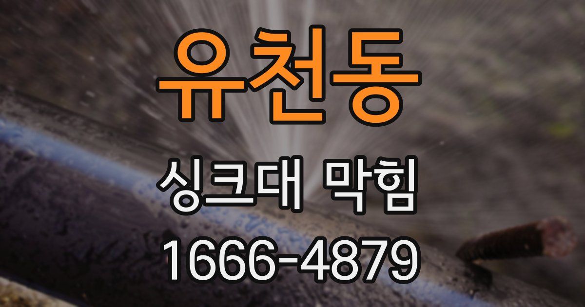 유천동 싱크대 막힘