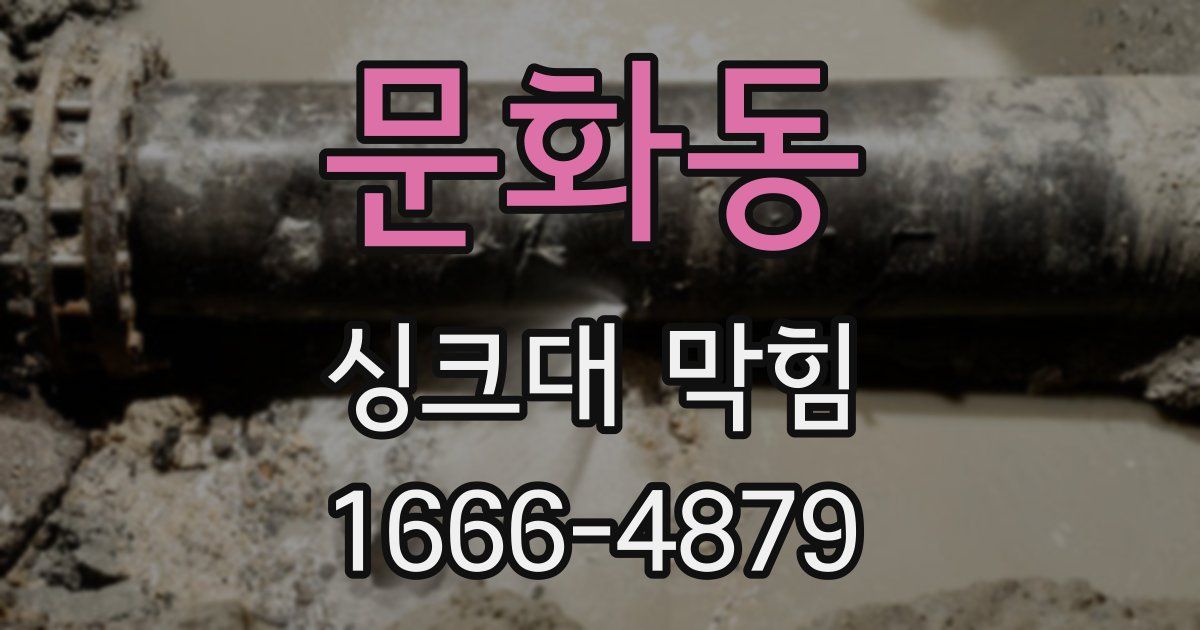 문화동 싱크대 막힘