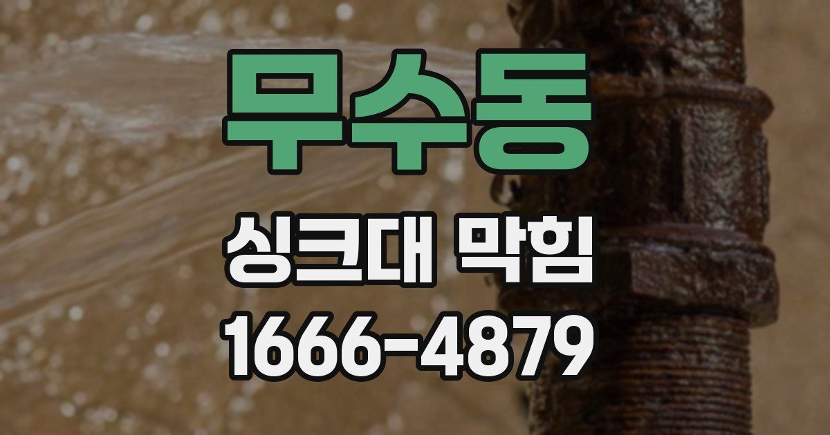 무수동 싱크대 막힘