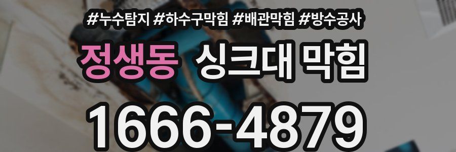 정생동 싱크대 막힘