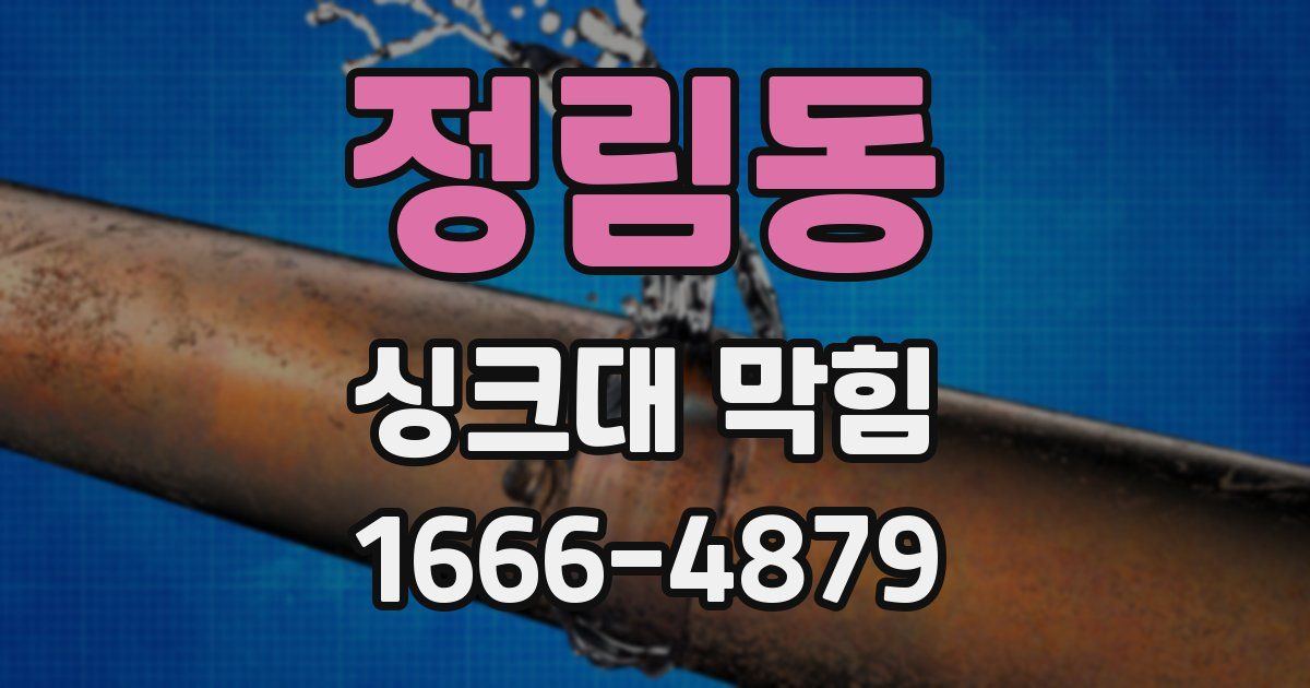 정림동 싱크대 막힘
