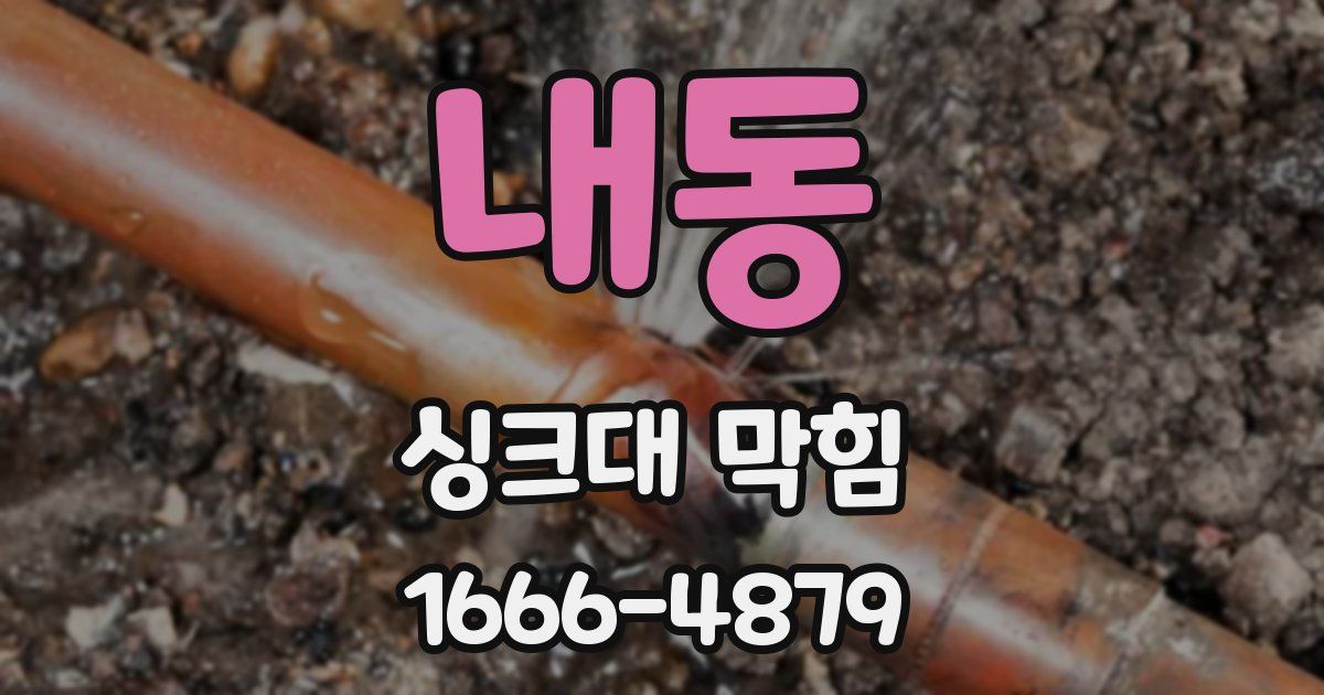 내동 싱크대 막힘