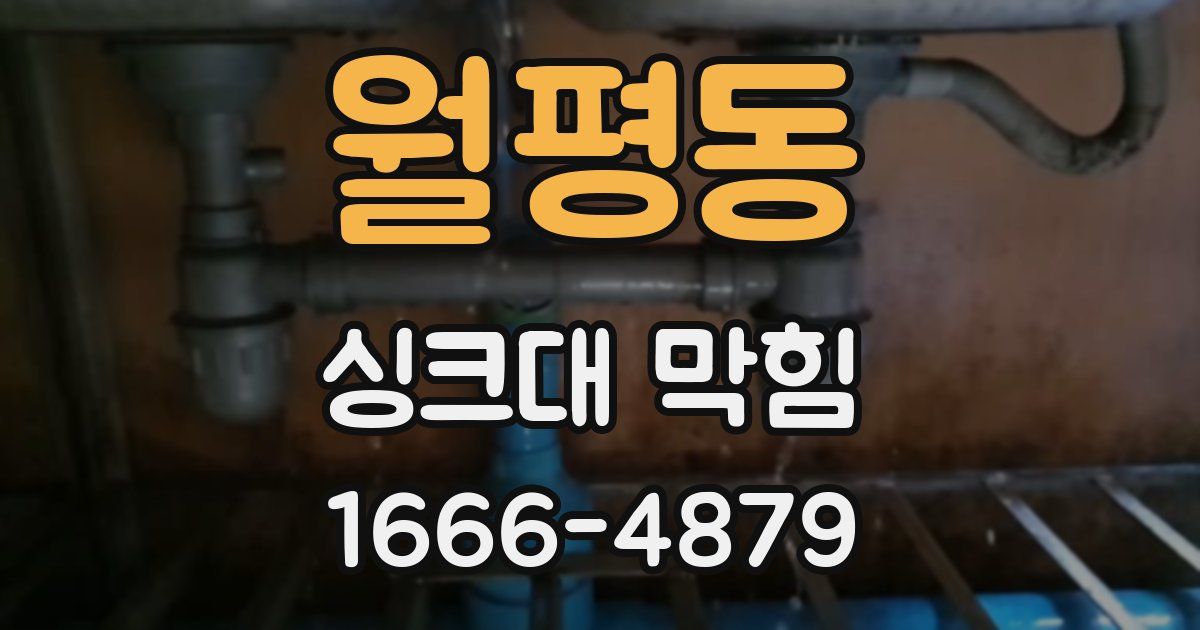 월평동 싱크대 막힘