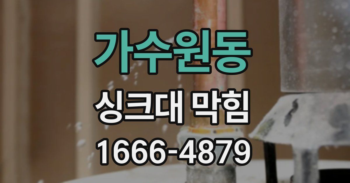 가수원동 싱크대 막힘