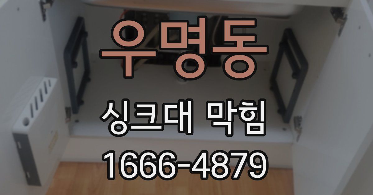 우명동 싱크대 막힘