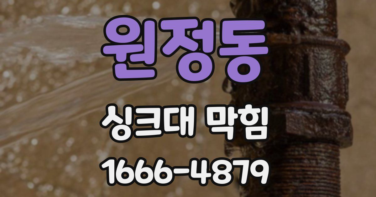 원정동 싱크대 막힘